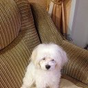 ��������-�����-����������!
���-�������-���!!! �� ������� ���������� ������