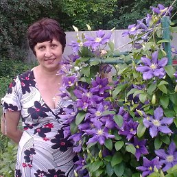 ���� ������, �������, 66 ��� - ��������� 12 ����� 2018