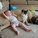 ���� ������, �������, 59 ��� - ��������� 8 ��� 2018 � ������ ���� ����������