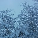 ���� ������, ���������, 45 ��� - ��������� 9 ������� 2017 � ������ ���� ����������