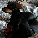 ���� ����, �������, 43 ���� - ��������� 4 ���� 2018 � ������ ���� ����������