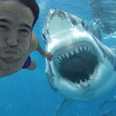 ���� �������, ������, 55 ��� - ��������� 17 ������� 2017 � ������ ������