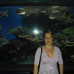 ��������, �����������, 50 ���