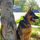 ���� �����, �����������, 49 ��� - ��������� 4 ��� 2018 � ������ ������ ��������