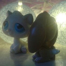 ����, ����, 33 ����