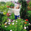  ,  , 63  -  11  2018    