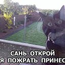 ���� _Alina, ������ �������� - ��������� 4 ������� 2017