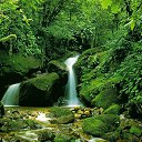 ���� ������, ����, 52 ���� - ��������� 14 ������ 2018 � ������ ���������