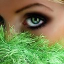 ���� �������, ���� - ��������� 7 ������� 2018 � ������ ���� ����������