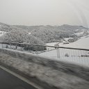 ���� �����, �������, 49 ��� - ��������� 4 ������� 2018 � ������ ���� ����������