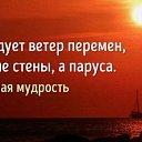 ���� ������, �����-���������, 55 ��� - ��������� 5 ������� 2018 � ������ ������ ��������