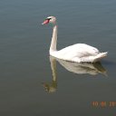 ���� ���������, ������, 66 ��� - ��������� 10 ���� 2018 � ������ ���� ����������