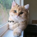 ���� ��������, ������� - ��������� 31 ��� 2018 � ������ ���� ����������