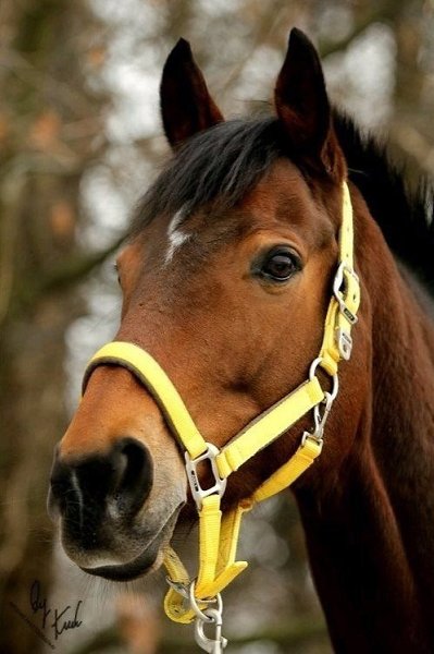 ����������� ��� � �������� �� ������ � ���-��. - 2