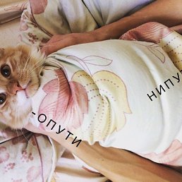 �����, ������, 26 ���