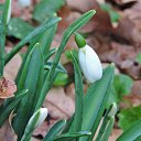  , , 60  -  28  2018     , 2018,  