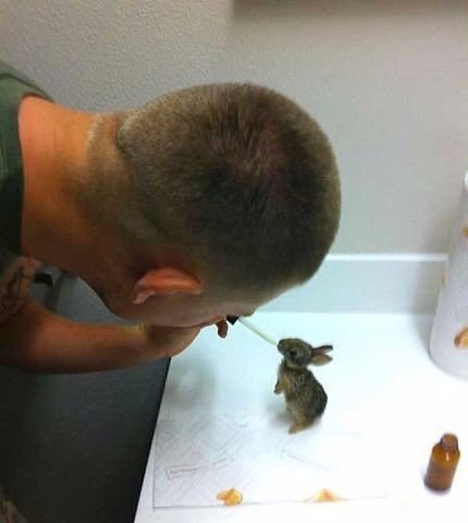 ���� ������ ��������� �� ����� � ��������� � ������ ��������. �� �������� 4-��� ������ ��� ����� ...