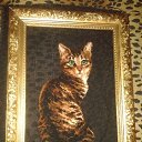 ���� *�������, ���������, 59 ��� - ��������� 8 ����� 2018 � ������ �����Ȼ