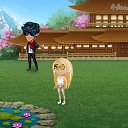     , , 26  -  11  2018   Tropikania