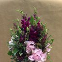 ���� �������, ������, 49 ��� - ��������� 4 ���� 2018 � ������ ���� ����������