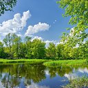 ���� ����� �., �����������, 42 ���� - ��������� 9 ��� 2018 � ������ ������ ��������