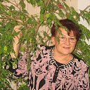 ���� ������, ������ - ��������� 21 ������ 2018 � ������ ���� ����������