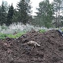 ���� �������, ����� - ��������� 16 ���� 2018