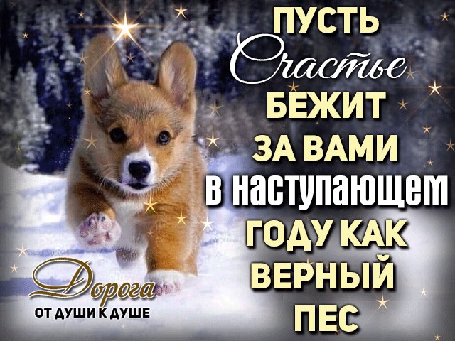 Вы можете в праздник не верить -.Совсем нелогично и зря,Но знайте: волшебное времяНаступит в конце ...