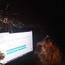 ����� ������� ,��� ���� ����������� �������)!! �� ������� �2018 ���