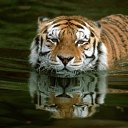 ���� �������, ��������� - ��������� 4 ������� 2018 � ������ ���� ����������