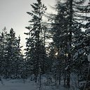 ���� �������������, �����, 53 ���� - ��������� 28 ���� 2018 � ������ ���� ����������
