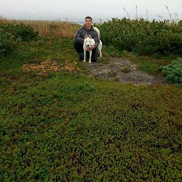 �����, ����-���������, 34 ����