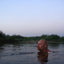 ���� Domovoy, ������ - ��������� 19 ������ 2017 � ������ ���� ����������