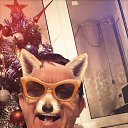 ���� Petr, �����-���������, 63 ���� - ��������� 27 ������� 2017 � ������ ���� ����������