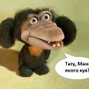 ���� ����, ����� - ��������� 10 ������� 2018 � ������ ������ ��������