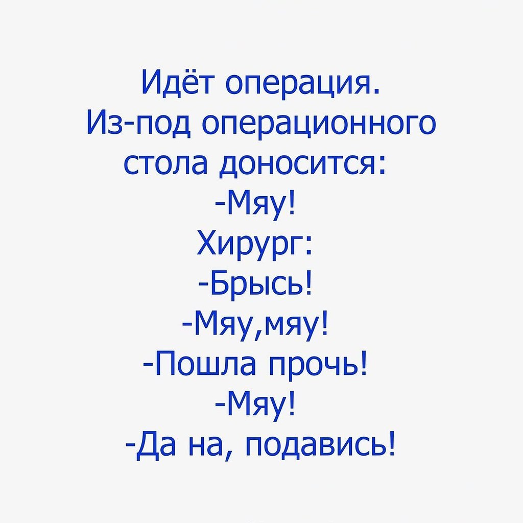    :D - 13  2018  02:25