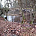 ���� ������, �����������, 62 ���� - ��������� 10 ������� 2017 � ������ ���� ����������