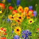  , -, 55  -  7  2018    λ