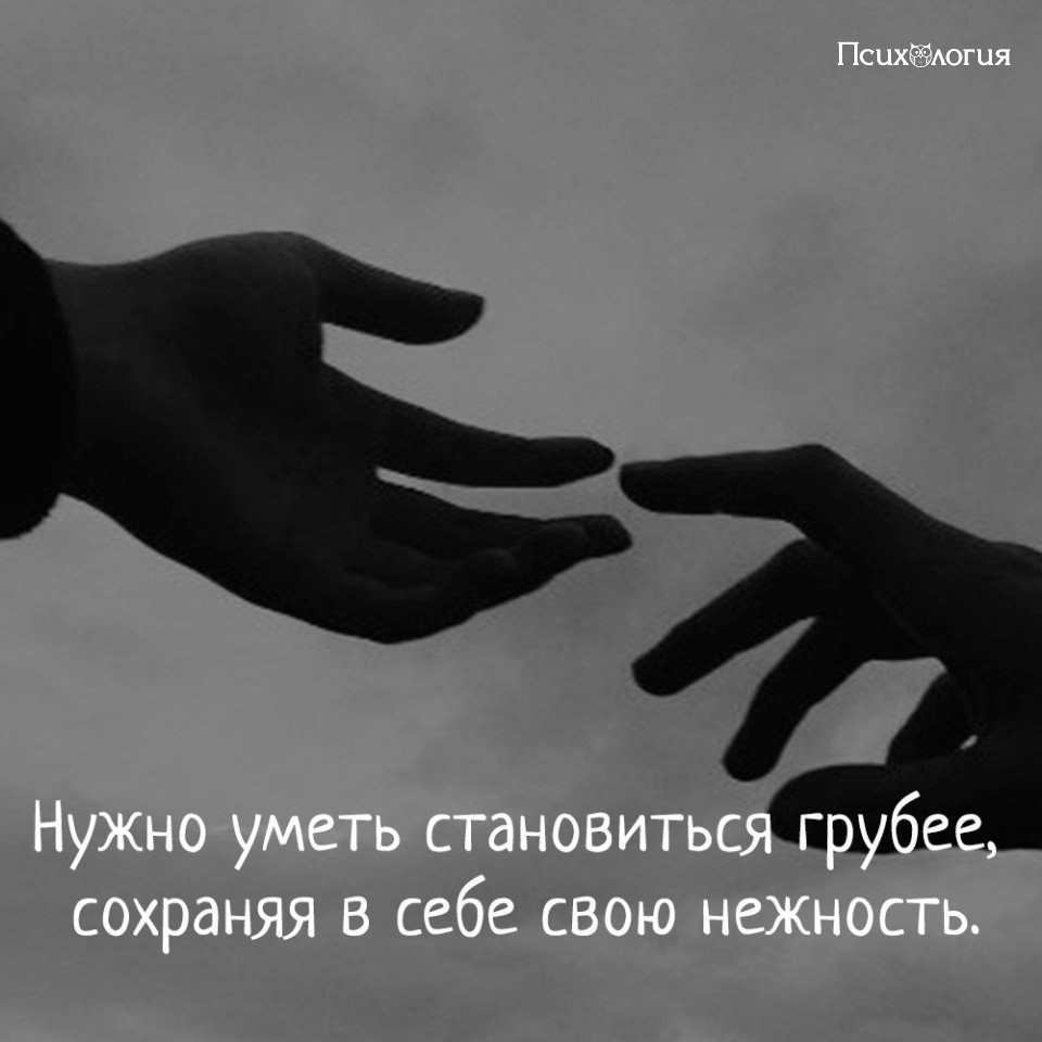  - 8  2018  02:49