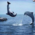 ���� ��������, �����������, 77 ��� - ��������� 10 ���� 2018 � ������ ���� ����������
