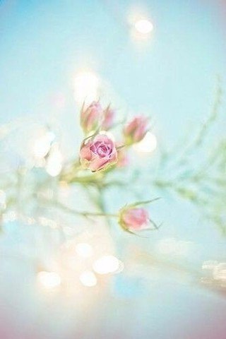 Не бойтесь перемен и чужого мнения. Будьте восхитительно неправильными для окружающих. И уверенно ... - 4