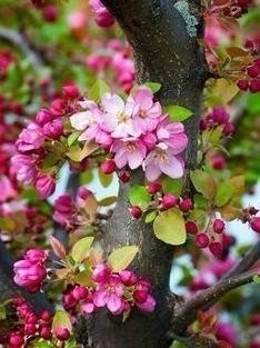 ����� ����� - ����� ����� �����, ���� ������� � ����� �����. - 6