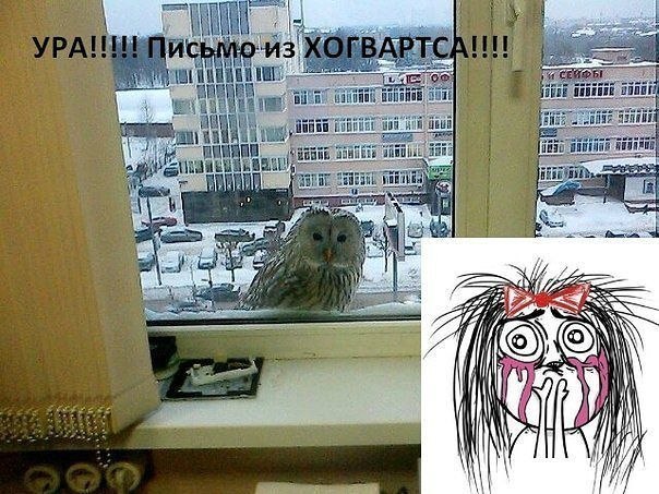 ? ,  ! - 20  2018  02:27