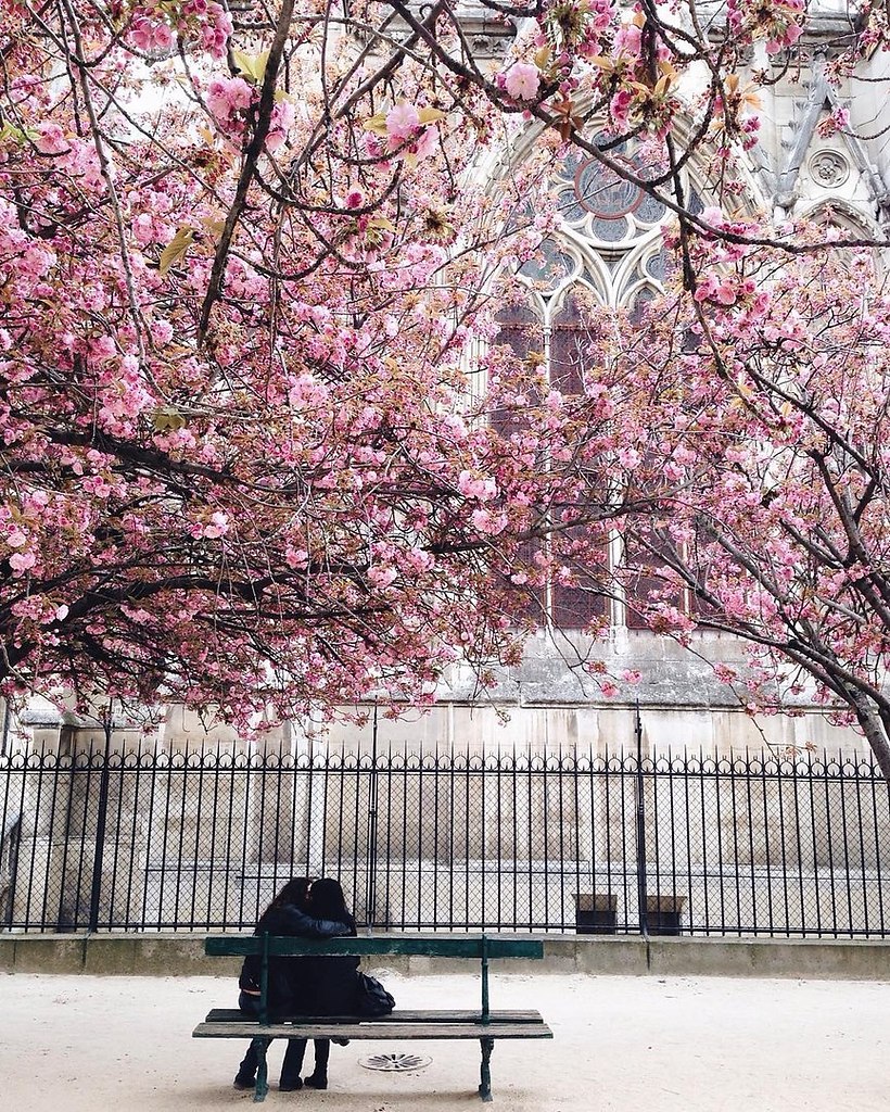 Blossoming Paris - 7