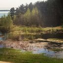 ���� ����, ������� �����, 41 ��� - ��������� 14 ��� 2018 � ������ ���� ����������