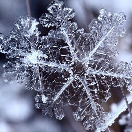 ����, �����, 39 ���