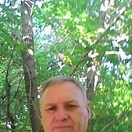 �������, �������, 59 ���