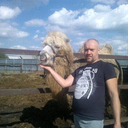 �����, ��������, 45 ���