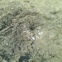 ���� ������, �������, 40 ��� - ��������� 30 ������ 2018 � ������ ������ ��������