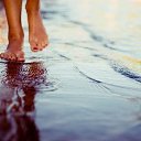 ���� �����, ����� - ��������� 23 ���� 2018